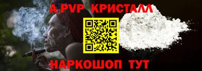Альфа ПВП Гатчина