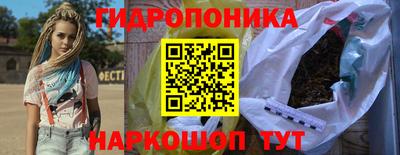 шишки Гагарин