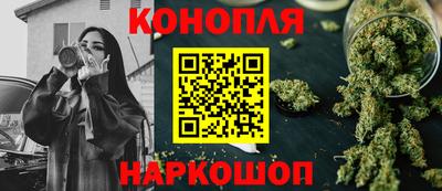 Альфа ПВП Гатчина