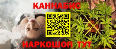 шишки Гагарин