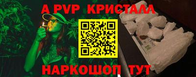 Альфа ПВП Гатчина