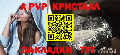 шишки Гагарин